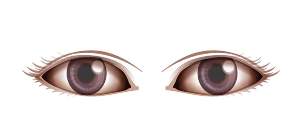 Human eye — Stock Vector