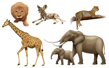 African animals clipart