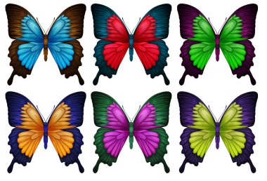Colorful butterflies clipart