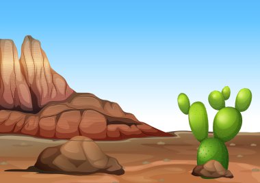 een woestijn met een cactus