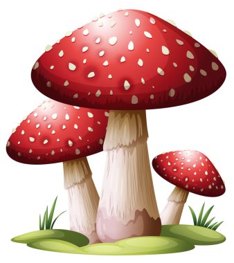 Red mushroom clipart