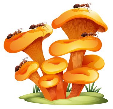 Fungi with ants clipart