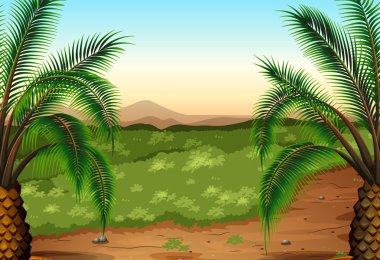 Palm plants and grass clipart