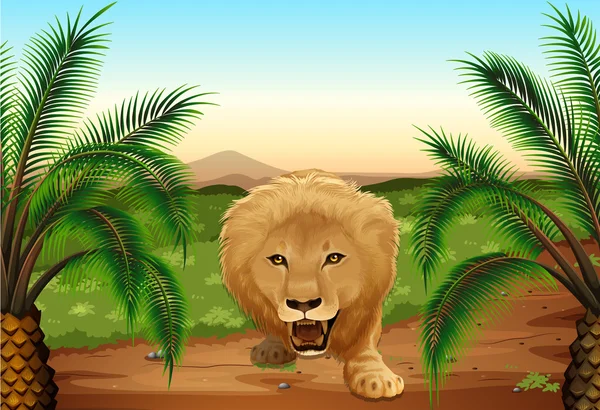 Лев в джунглях — стоковый вектор