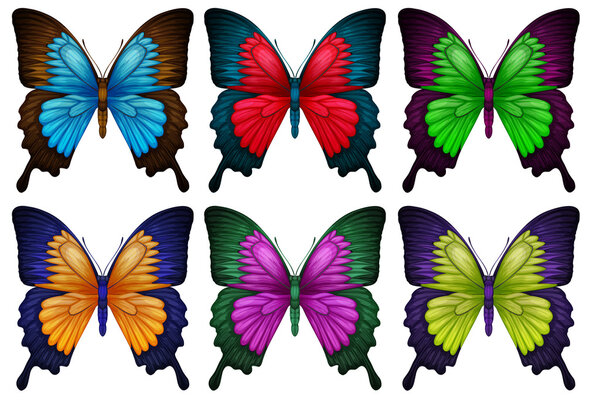 Красочные бабочки
