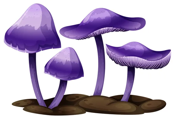 Cogumelos roxos —  Vetores de Stock