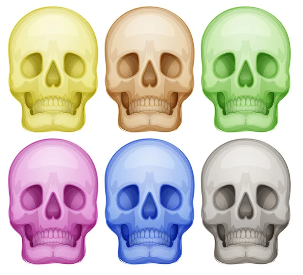Renkli kafatasları — Stok Vektör