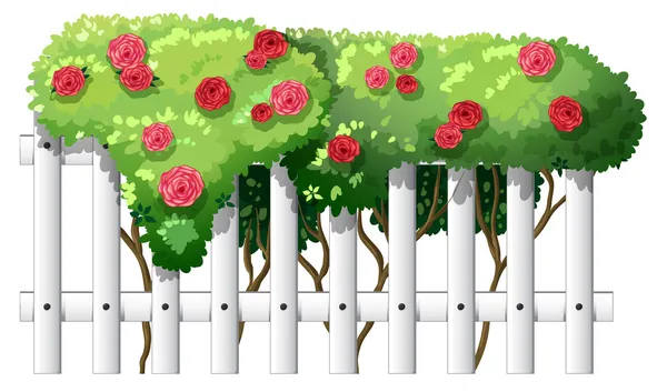 Une clôture en bois blanc avec des plantes à fleurs — Image vectorielle