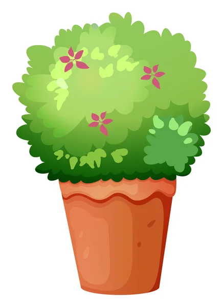Горшок с зеленым растением — стоковый вектор