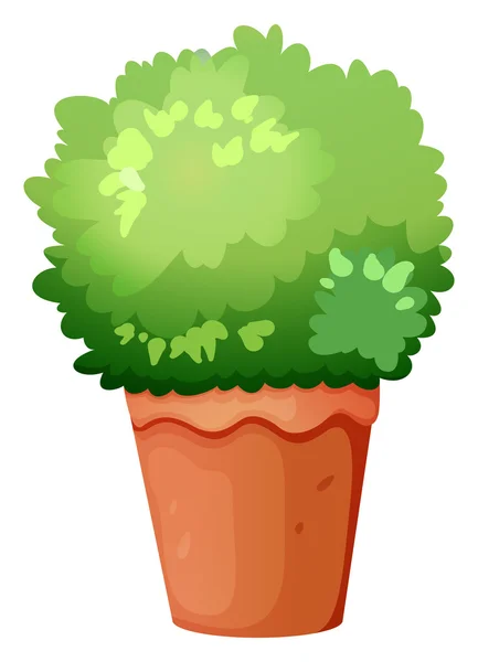 A green potted plant — Stock Vector