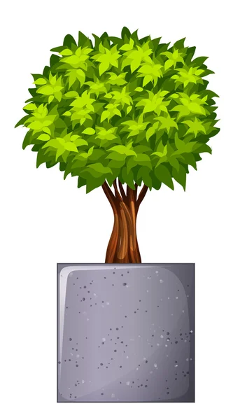 A green plant and the concrete gray pot — Stock Vector