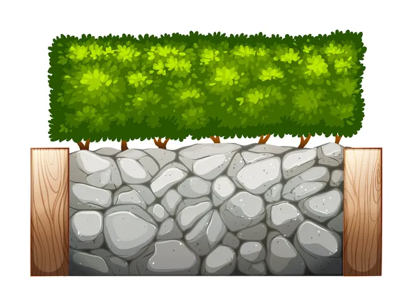 Eine Steinmauer mit Pflanzen — Stockvektor