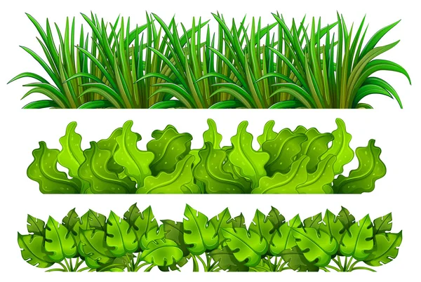 Verschillende planten — Stockvector