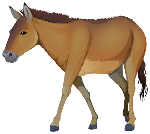 Un cheval brun — Image vectorielle