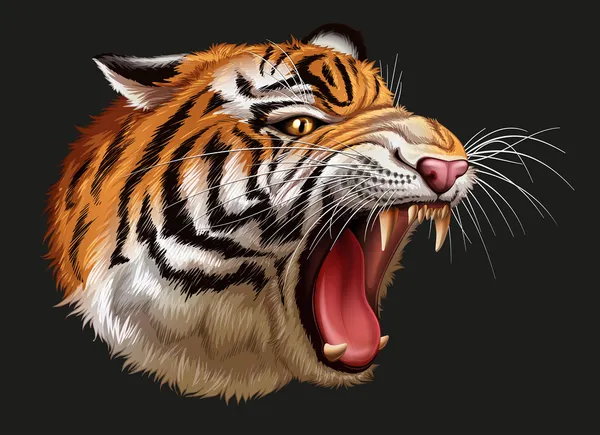 La tête d'un tigre rugissant — Image vectorielle