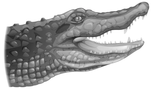 Серый крокодил — стоковый вектор