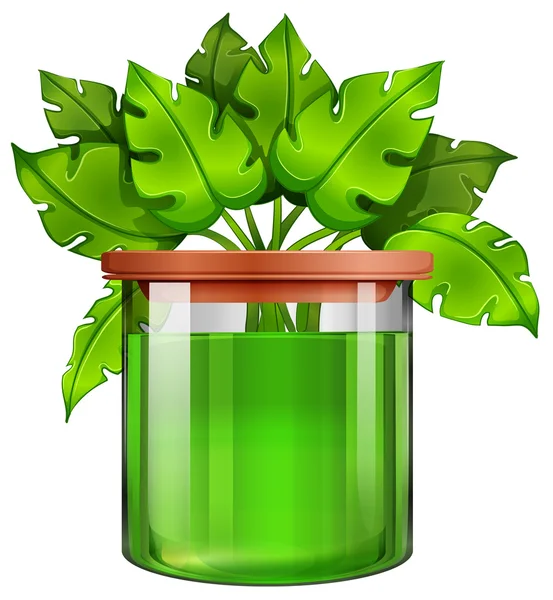 A jar with a green plant — Stock Vector