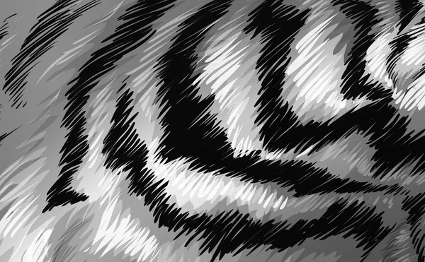 Une texture de tigre — Image vectorielle