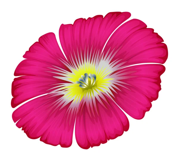 一朵粉红色的花 — 图库矢量图片