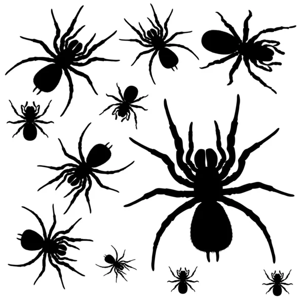 Arañas — Archivo Imágenes Vectoriales