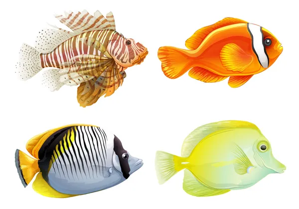 Quatre poissons — Image vectorielle