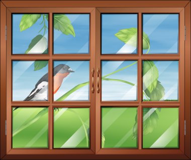 bir kuş, bir bitkinin kök görünümünü içeren bir pencere