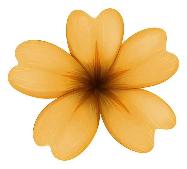 A five-petal orange flower — Stock Vector