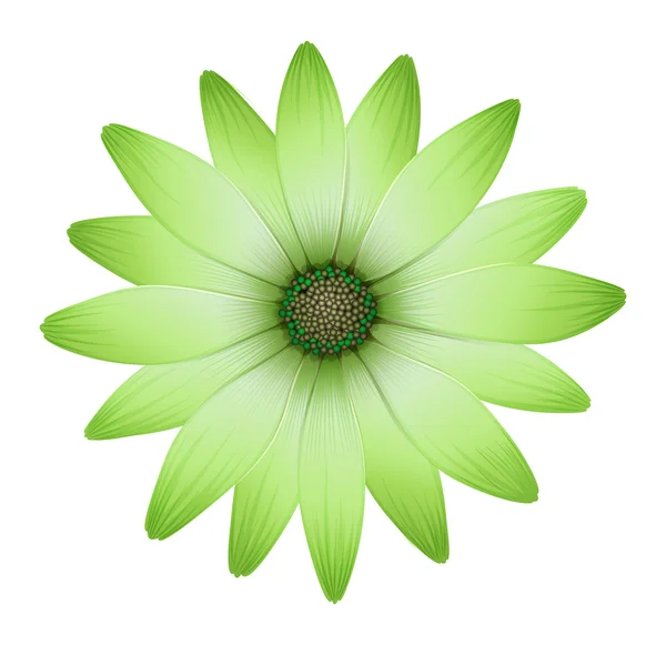 Eine Blume mit grünen Blütenblättern — Stockvektor