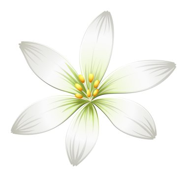 A fresh white flower clipart