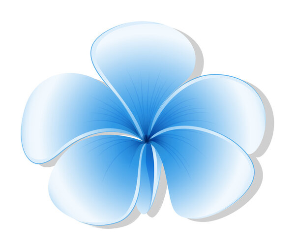 A fresh five-petal blue flower