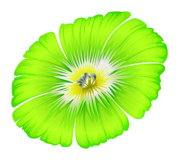 A bright green flower — Stock Vector