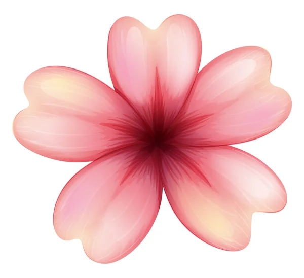 Une fleur florissante à cinq pétales — Image vectorielle