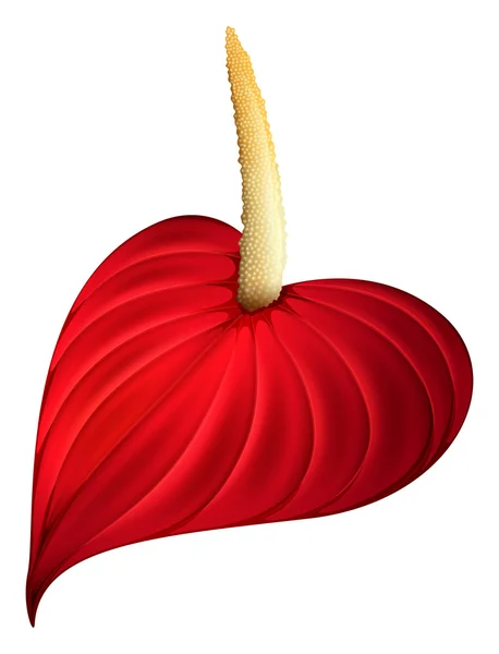 Une fleur rouge — Image vectorielle