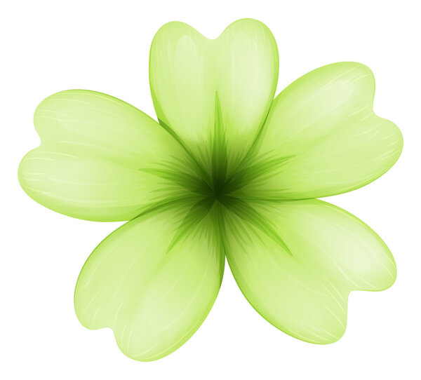 A light green flower