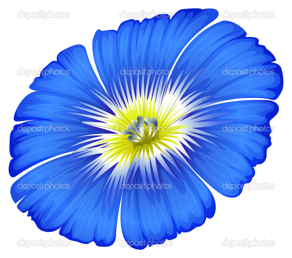 A blue blooming flower