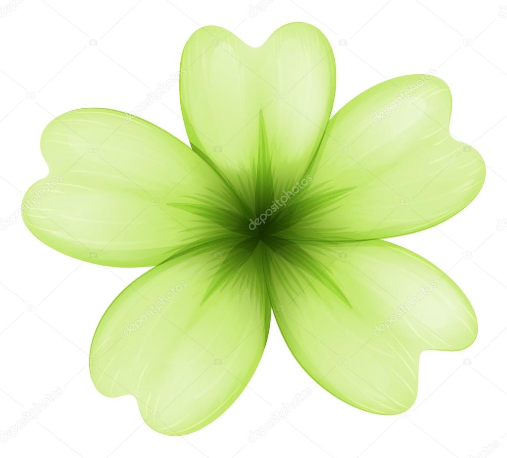 A light green flower
