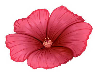 Kırmızı bir çiçek.