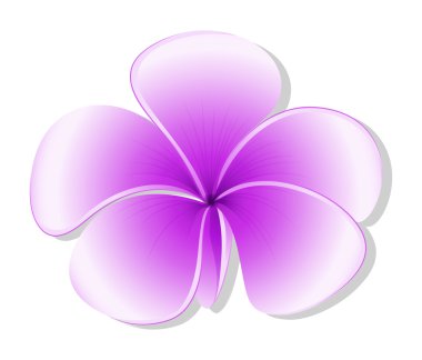 taze bir beş-petal çiçekli bitki