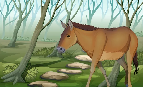 En häst på skogen — Stock vektor