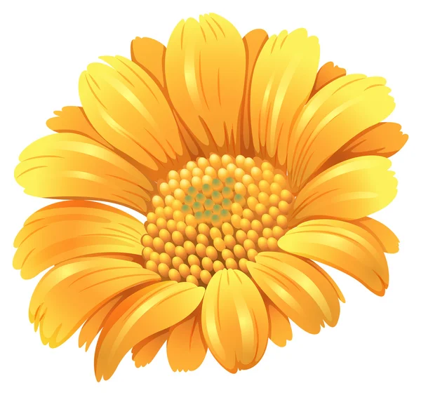 Una flor fresca en flor — Vector de stock