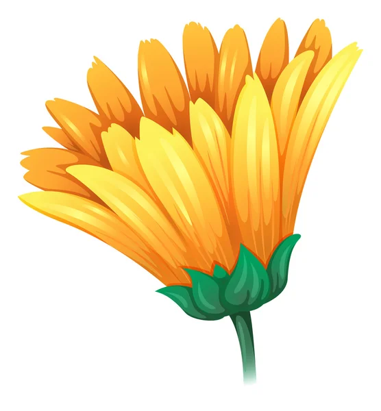 Una flor amarilla fresca — Vector de stock