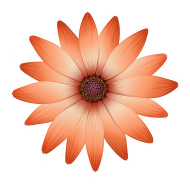 A fresh blooming flower clipart