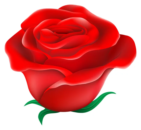 Una rosa rossa fresca — Vettoriale Stock