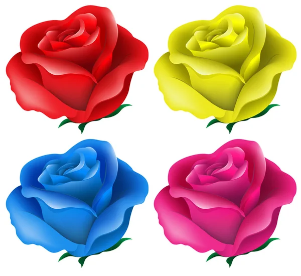 Rosas coloridas —  Vetores de Stock