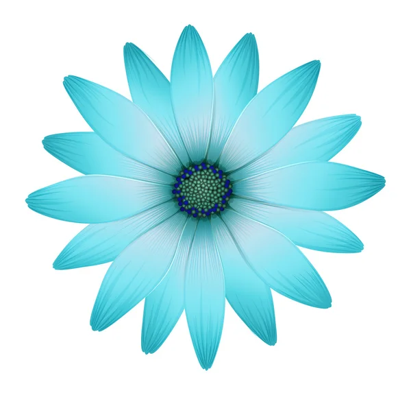 Una hermosa flor — Vector de stock