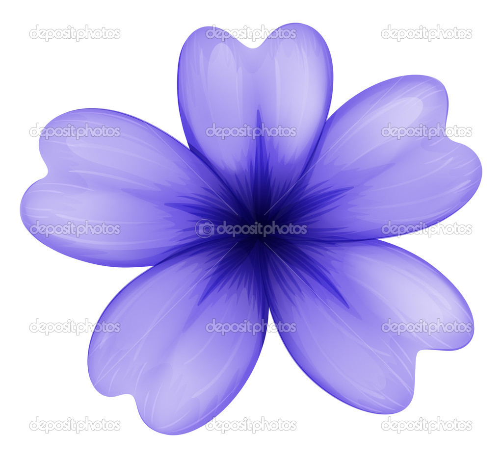 A violet flower