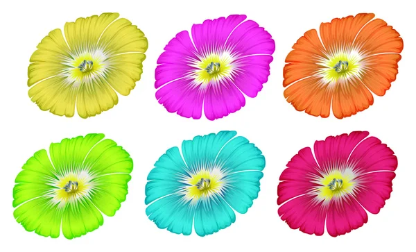 五颜六色的花 — 图库矢量图片