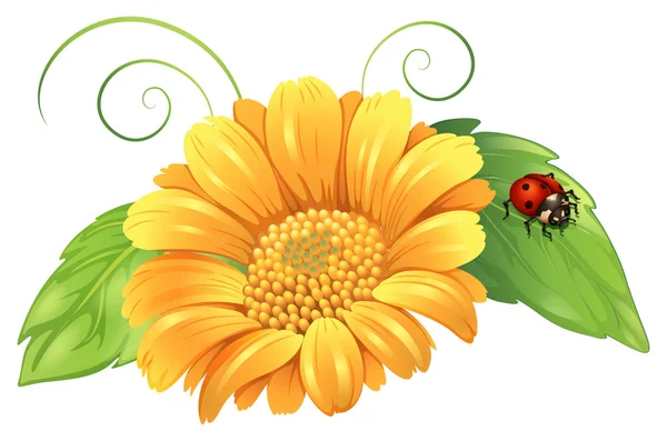 一朵黄花用树叶和一只虫子 — 图库矢量图片