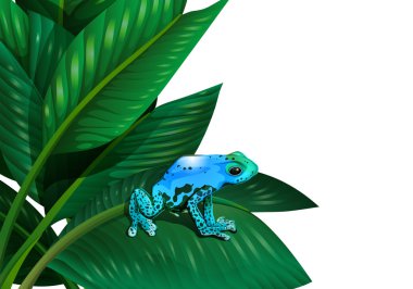 A frog above the leaf of a plant clipart