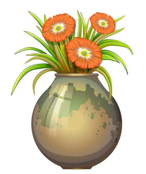 A big pot with flowers